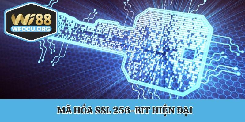 Mã hóa SSL 256-Bit hiện đại
