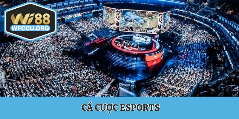 Cá cược esport