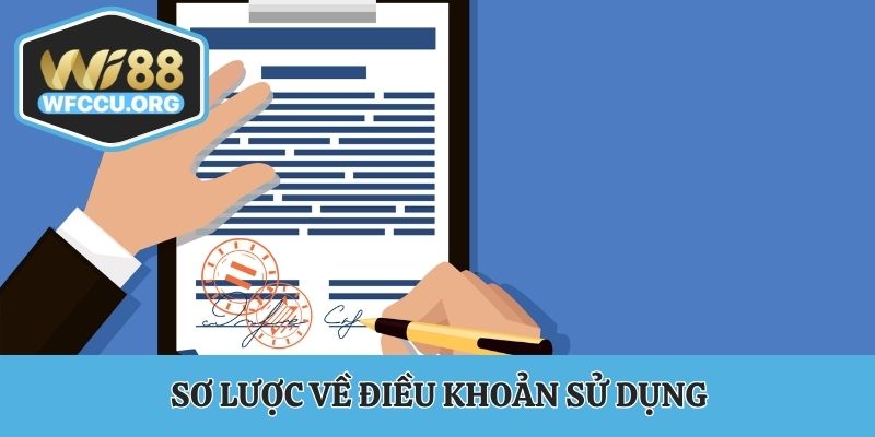 Sơ lược về điều khoản sử dụng