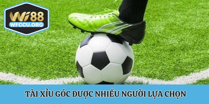 Tài xỉu góc được nhiều người lựa chọn